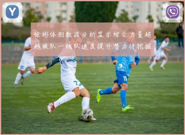 徐彬体测数据分析显示综合力量超越狼队一线队速度提升潜力待挖掘